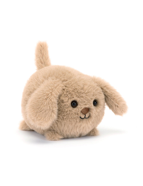 JELLYCAT - Caboodle puppy