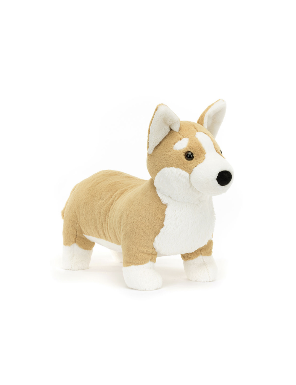 grande peluche chien Betty corgi jellycat boutiqueholala.com