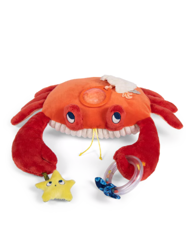MOULIN ROTY - Grand crabe...
