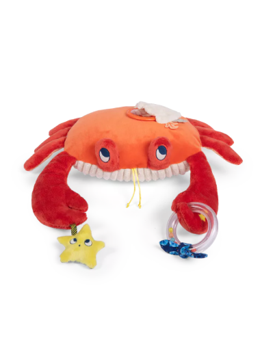 MOULIN ROTY - Grand crabe...