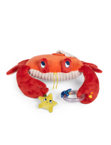MOULIN ROTY - Grand crabe...