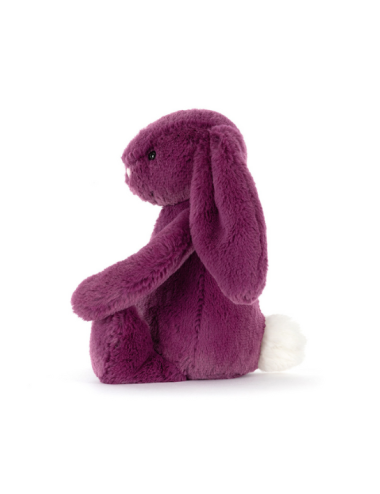 Peluche Lapin Violet Little Bashful Allium Bunny - Jellycat boutiqueholala.com