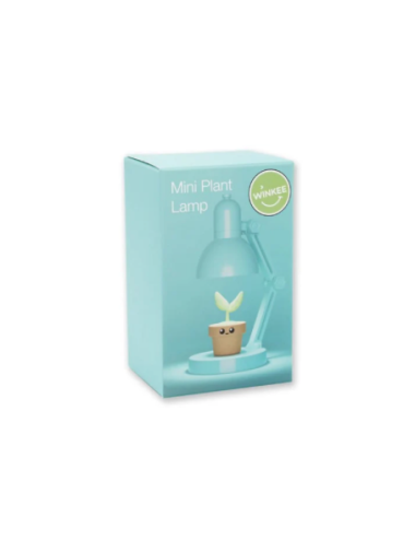 Mini lampe plante décorative – Lumière d’ambiance - boutiqueholala.com