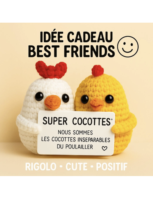 Super Cocottes – Petits objets positifs & bonne humeur - boutiqueholala.com