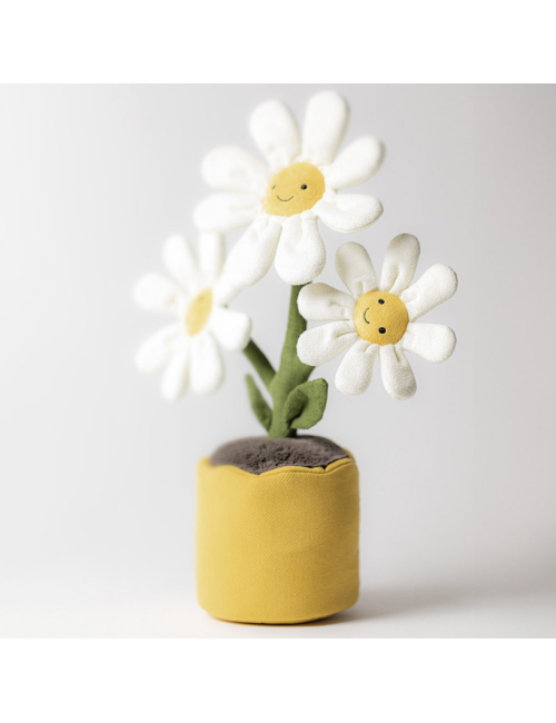 Peluche Amuseables Daisy – Jellycat - Holala.com
