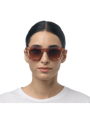Lunettes de soleil Firenze Sahara Havana – OKKIA