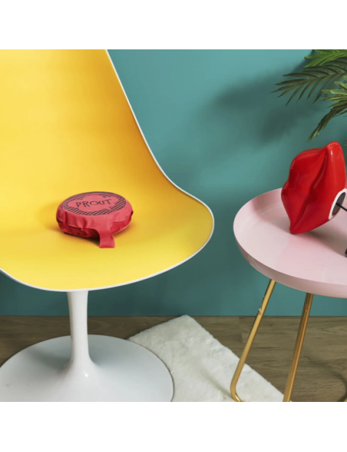Coussin péteur – Coussin farce et attrape sonore