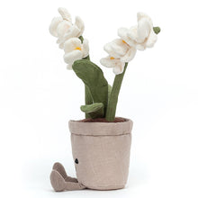 Charger l&#39;image dans la galerie, JELLYCAT peluche amuseable cream orchid
