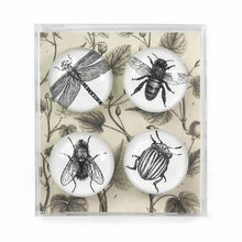 Charger l&#39;image dans la galerie, magnets en verre insecte
